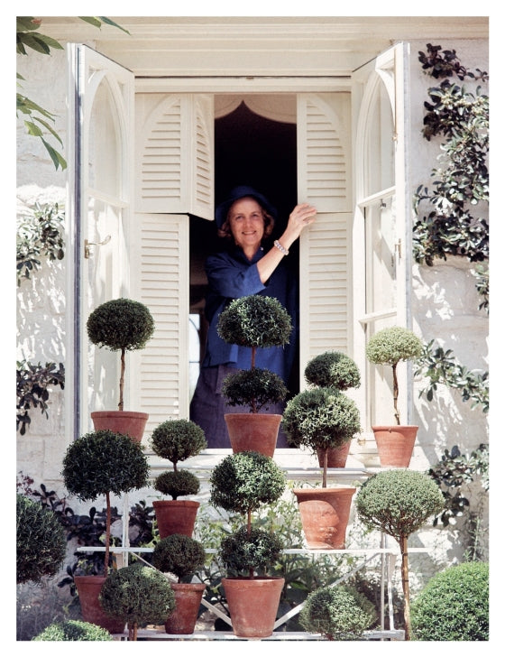 he Enchanting Interiors of Bunny Mellon: Paintings by Snowy Campbell - Findlay Rowe Designs
