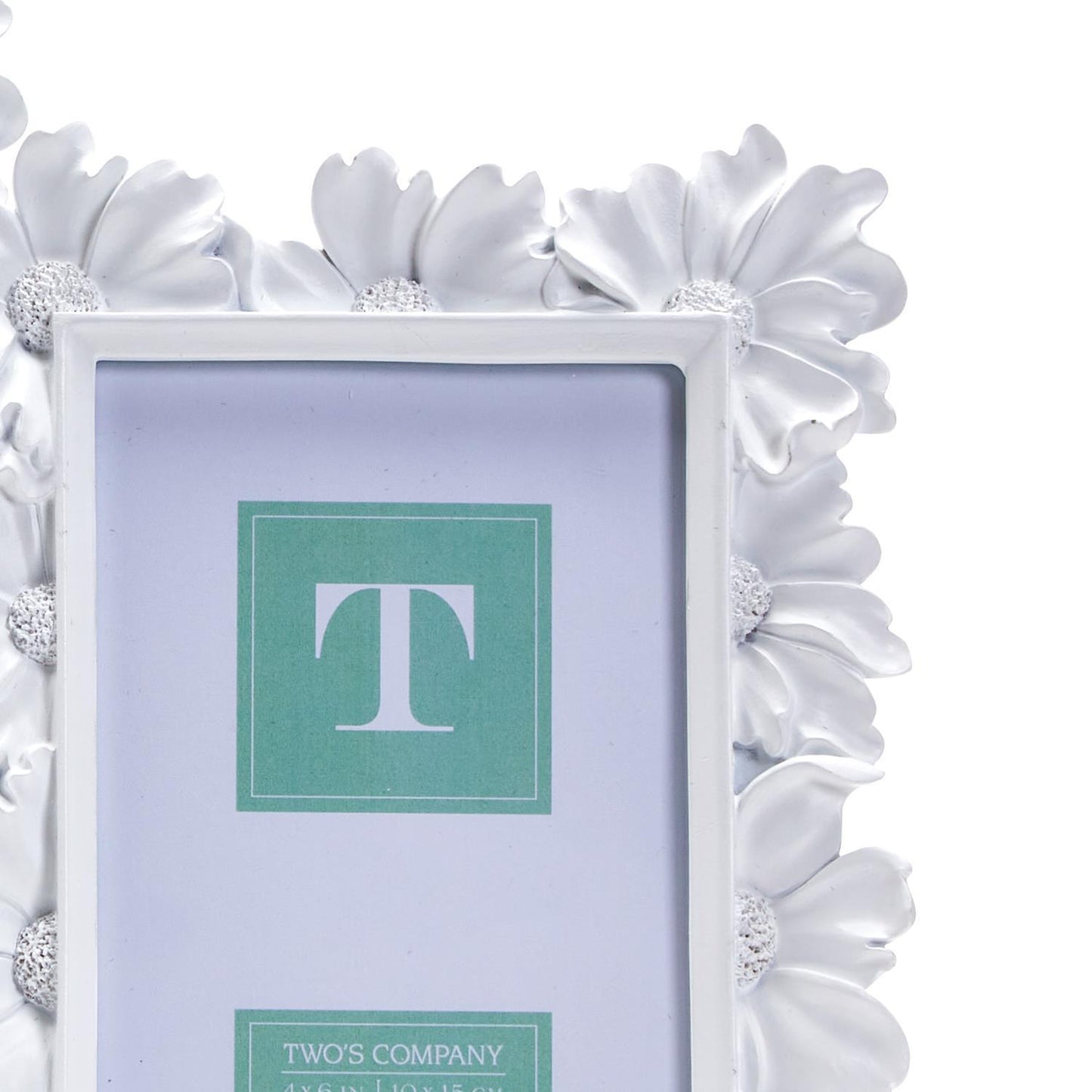 Two's Company- White Daisy Frame - Findlay Rowe Designs