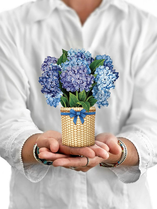 Fresh Cut Paper - Pop Up Bouquet Matching Card - Mini Nantucket Hydrangeas - Findlay Rowe Designs
