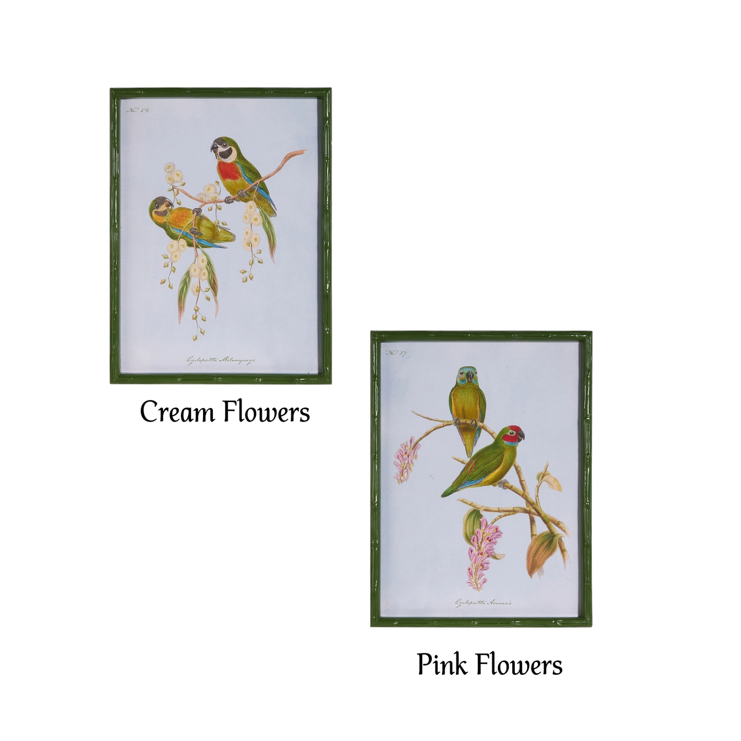 Raz Imports - Wall Art - Wings in the Wild  - 22in - Findlay Rowe Designs