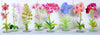 Kimberly Hodges - Acrylic Art - Large Stand - Clear - Single Insert - Findlay Rowe Designs