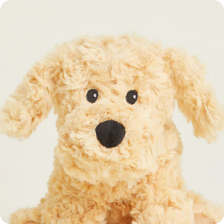 Warmies - Junior - Golden Dog - Findlay Rowe Designs