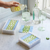 Guest Towel White Scalloped Box Set - Knots And Spots