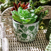 Countryside Collection - Cachepot - Green Small - Findlay Rowe Designs