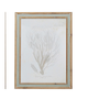 Framed Print - Coral - Assorted - Findlay Rowe Designs