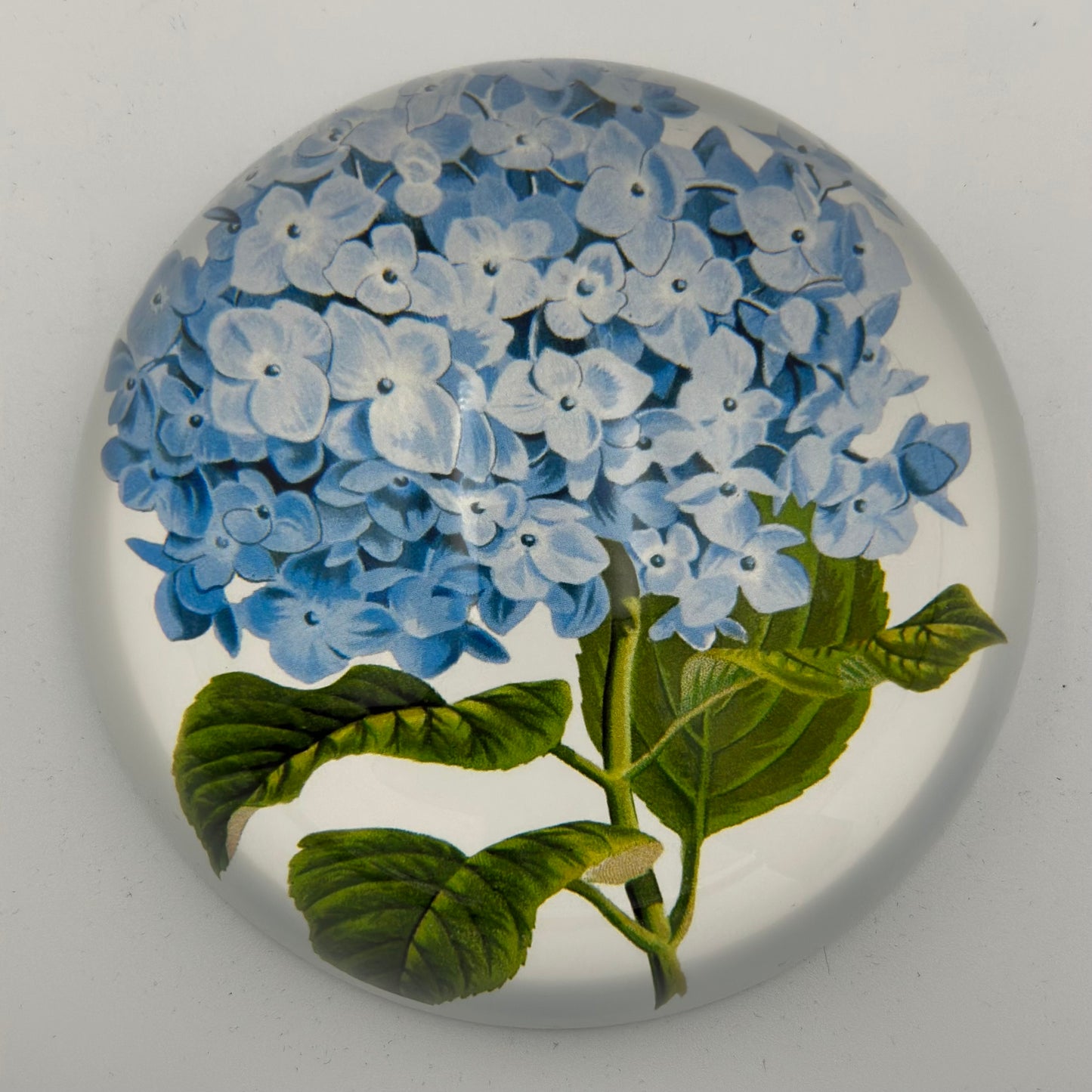 Decorative Glass Paperweights - Findlay Rowe Designs