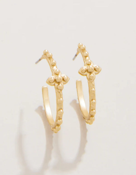 Spartina - Earrings - Richmond Hill Hoop - 25mm - Findlay Rowe Designs