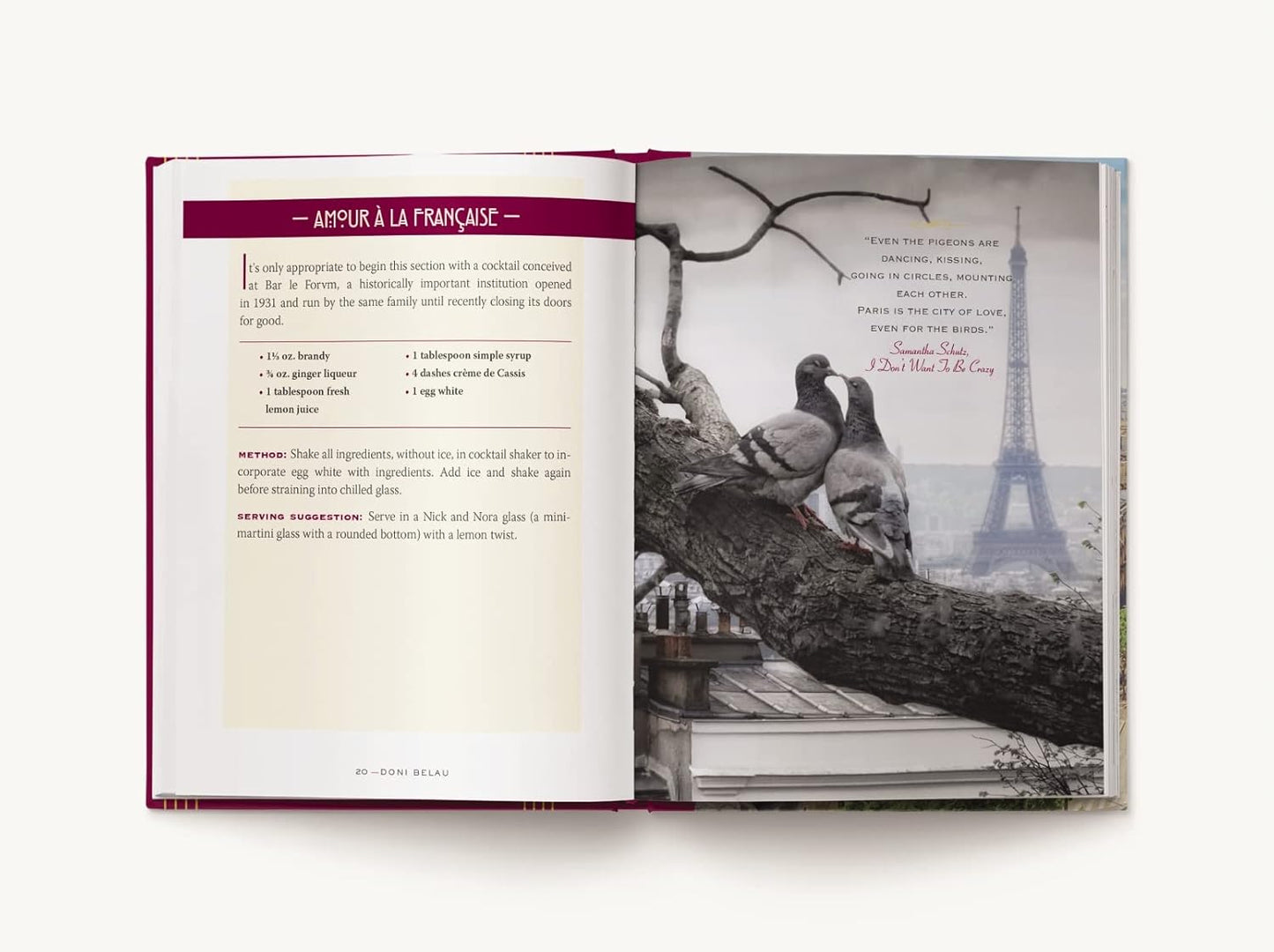 Paris Cocktails, Second Edition: An Elegant Collection of Over 100 Recipes Inspired by the City of Light - Findlay Rowe Designs