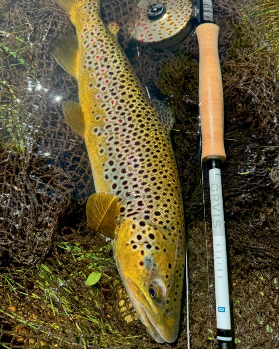 A Fishable Feast: Fly Fishing and Eating Your Way Around the World - Findlay Rowe Designs