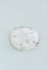 Catherine Cartie - Acrylic Art Block - Sand Dollar - Small - Findlay Rowe Designs