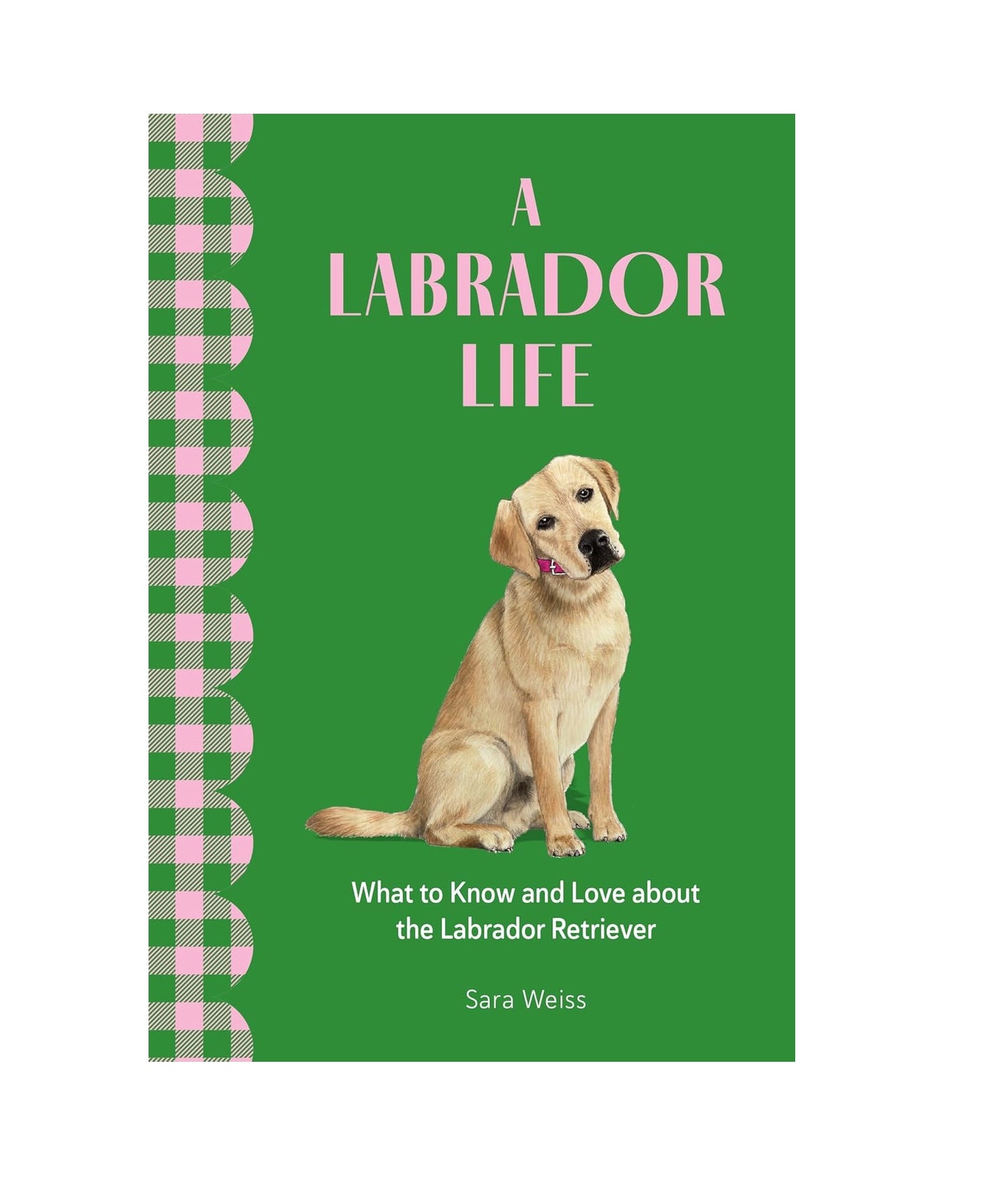 A Labrador Life: What to Know and Love About the Labrador Retriever - Findlay Rowe Designs