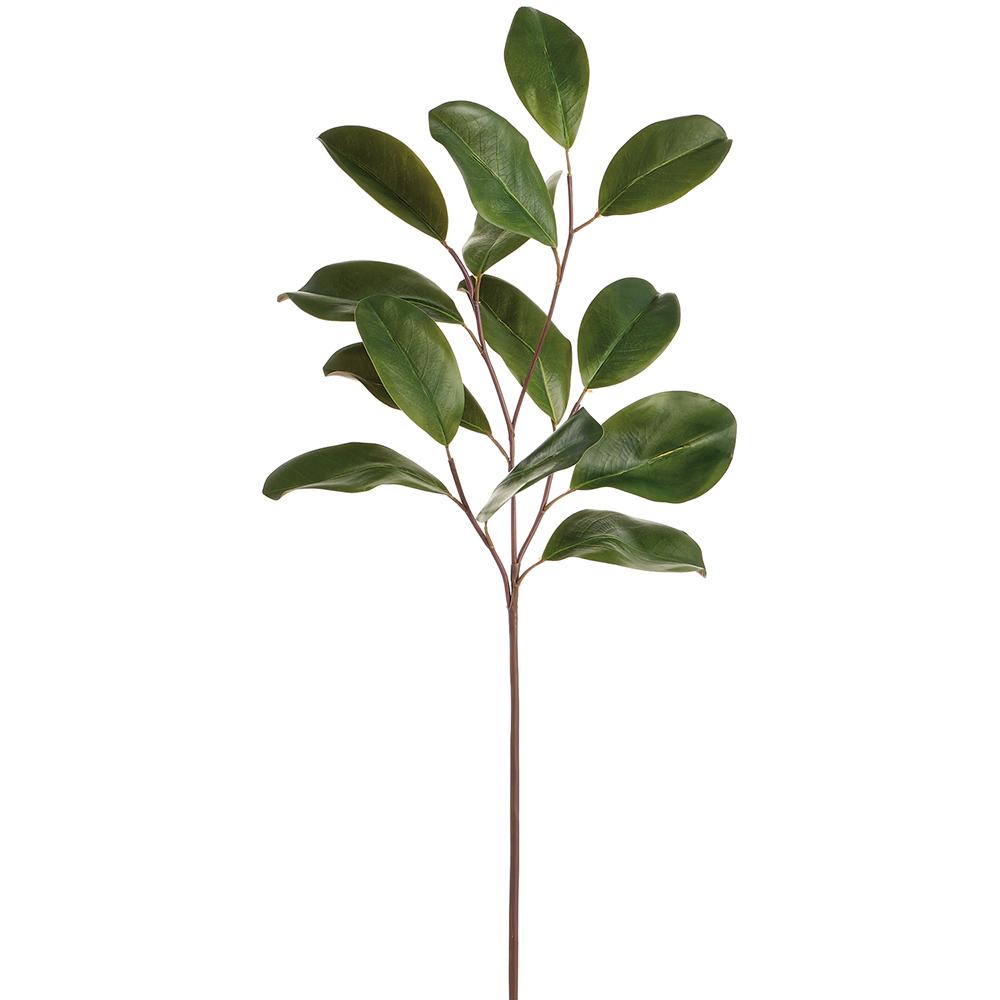 Allstate Floral - 32" Magnolia Leaf Spray  Green - Findlay Rowe Designs