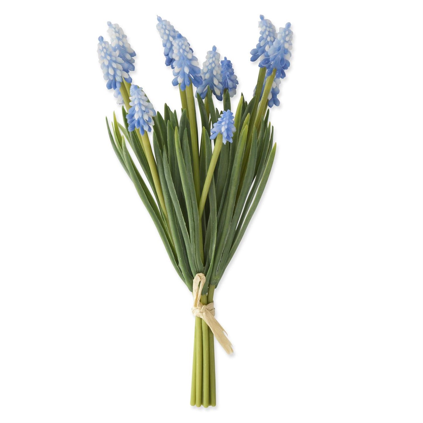 Blue Grape Hyacinth Bundle - 10.5in - Findlay Rowe Designs