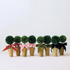 Topiary - Dried Boxwood - Red Velvet Bow - Findlay Rowe Designs