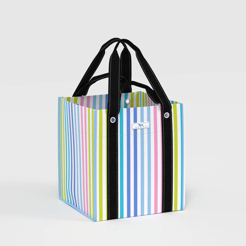 SCOUT - Bagette - Havana Cabana - Findlay Rowe Designs