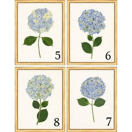 Framed Print - Hydrangea 14x18 Linen- The Leonard Collection