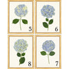 Framed Print - Hydrangea 14x18 Linen- The Leonard Collection
