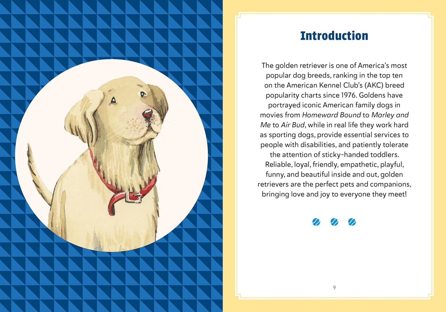 A Golden Life: What to Know and Love about the Golden Retriever - Findlay Rowe Designs