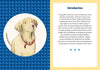 A Golden Life: What to Know and Love about the Golden Retriever - Findlay Rowe Designs