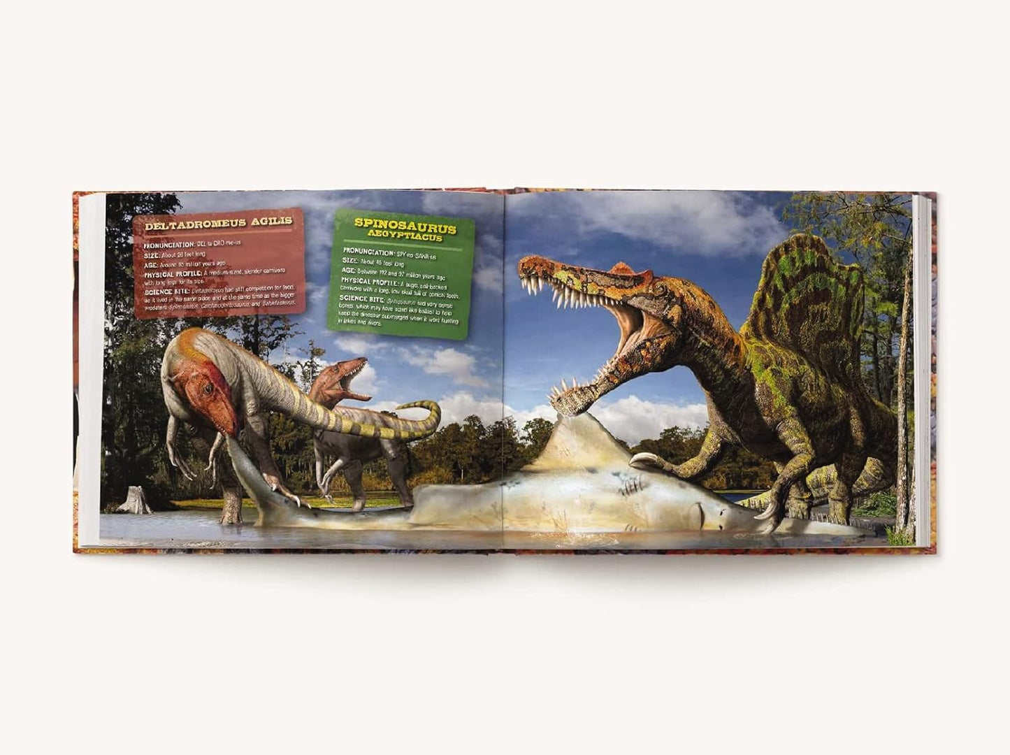 Prehistoric Predators: The Biggest Carnivores of the Prehistoric World - Findlay Rowe Designs