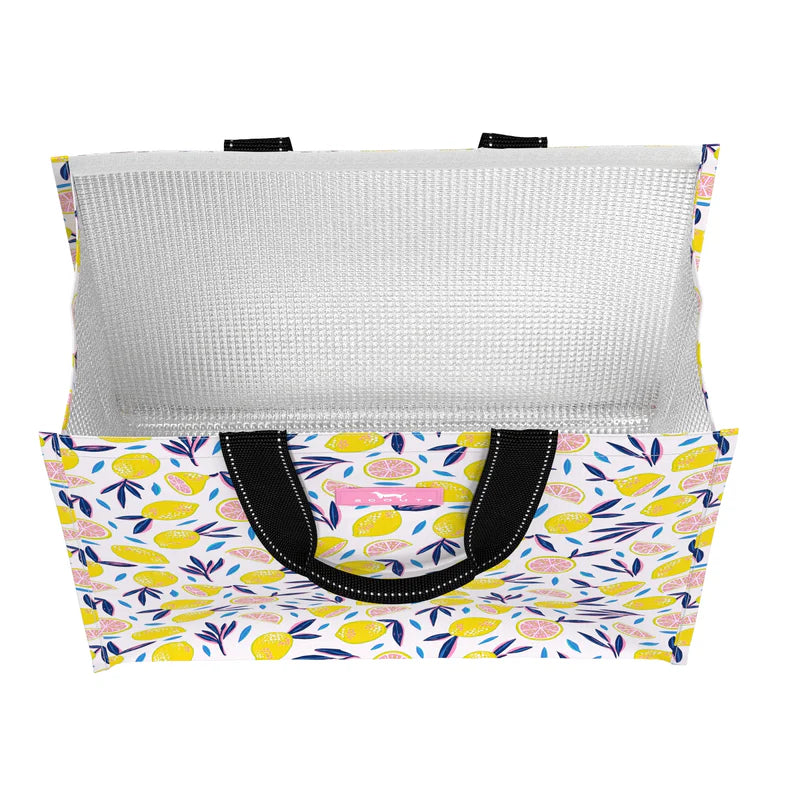 Scout - Thermal and Louise - Zest in Show - Findlay Rowe Designs