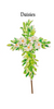 Rosanne Beck - Stake - Blooming Cross - Findlay Rowe Designs