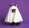 Mud Pie - Trick-Or-Treat Plush Pals - Findlay Rowe Designs