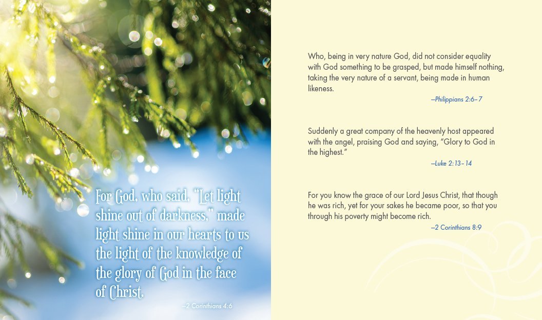 Jesus Calling for Christmas - Findlay Rowe Designs
