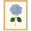 Framed Print - Hydrangea 14x18 Linen- The Leonard Collection