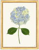 Framed Print - Hydrangea 14x18 Linen- The Leonard Collection