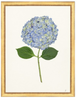 Framed Print - Hydrangea 14x18 Linen- The Leonard Collection