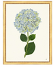 Framed Print - Hydrangea 14x18 Linen- The Leonard Collection
