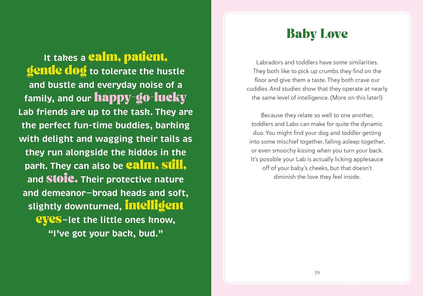 A Labrador Life: What to Know and Love About the Labrador Retriever - Findlay Rowe Designs