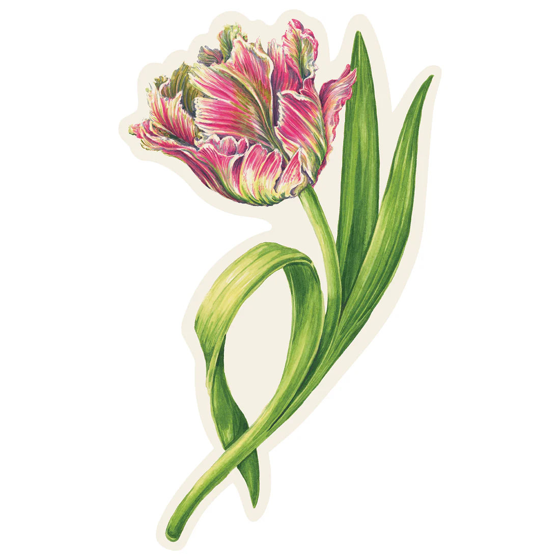 Hester & Cook - Table Accent - Parrot Tulip - Findlay Rowe Designs