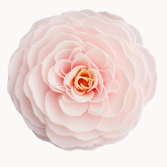 A'Marie's - Large Soap Petal Flower - Cherry Blossom - Findlay Rowe Designs