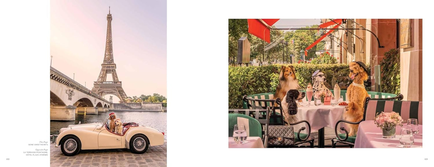 Gray Malin: Dogs: Photographs - Findlay Rowe Designs