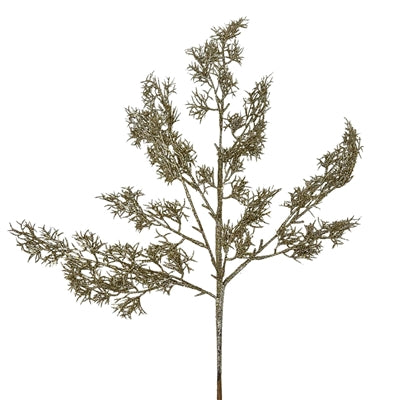 Cypress Spray Stem - Glittered Italian - Champagne 29in - Findlay Rowe Designs