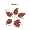 Autumn Allure  Enameled Leaf Plate - Findlay Rowe Designs