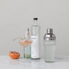 Glass Cocktail Shaker w/ Stainless Steel Top - Findlay Rowe Designs