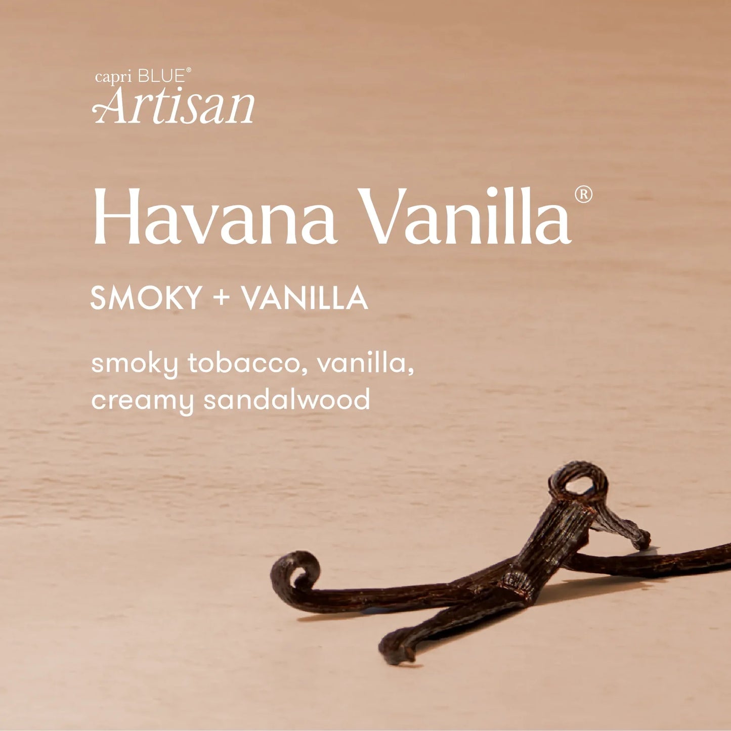 Capri Blue -  Petite Candle 8oz - Havana Vanilla Terrazza Velluto - Findlay Rowe Designs