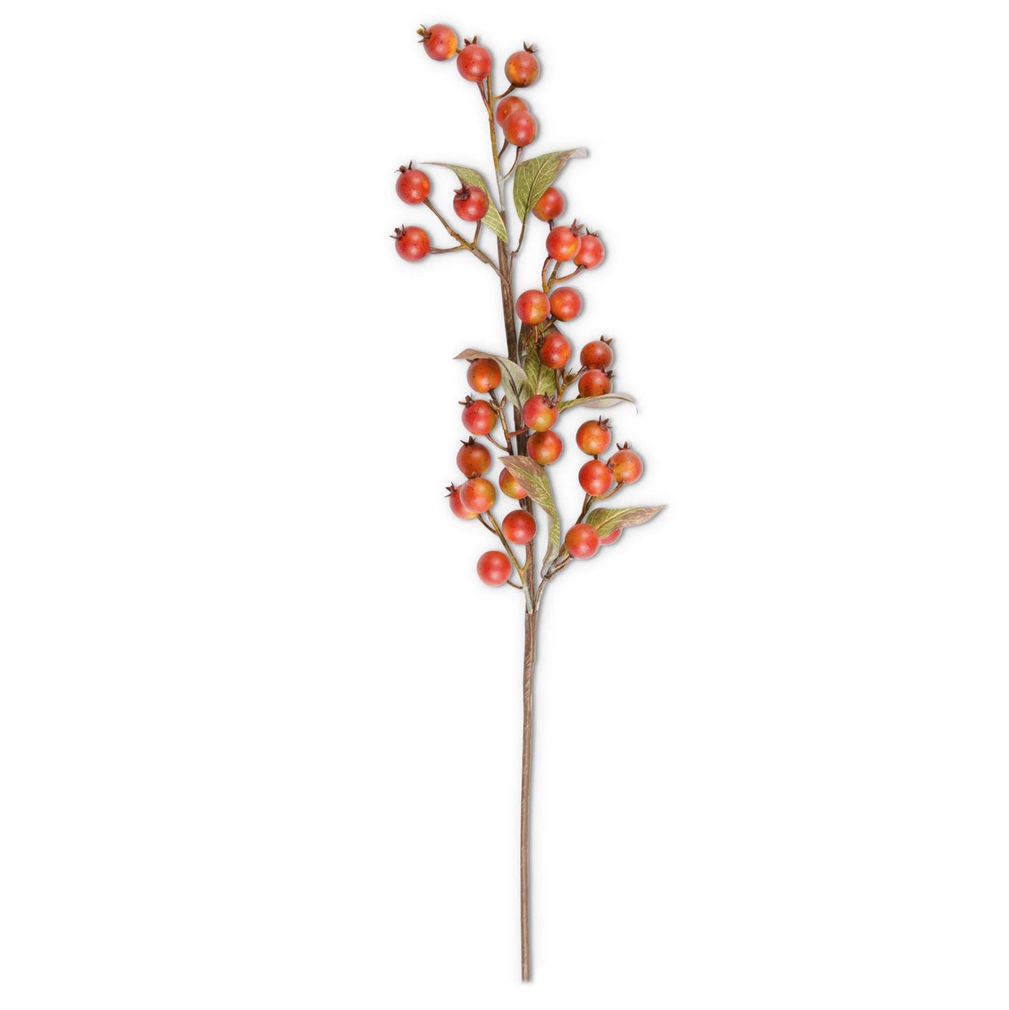 Spray - Rosehip Stem - Burnt Orange - 32 Inch, - Findlay Rowe Designs