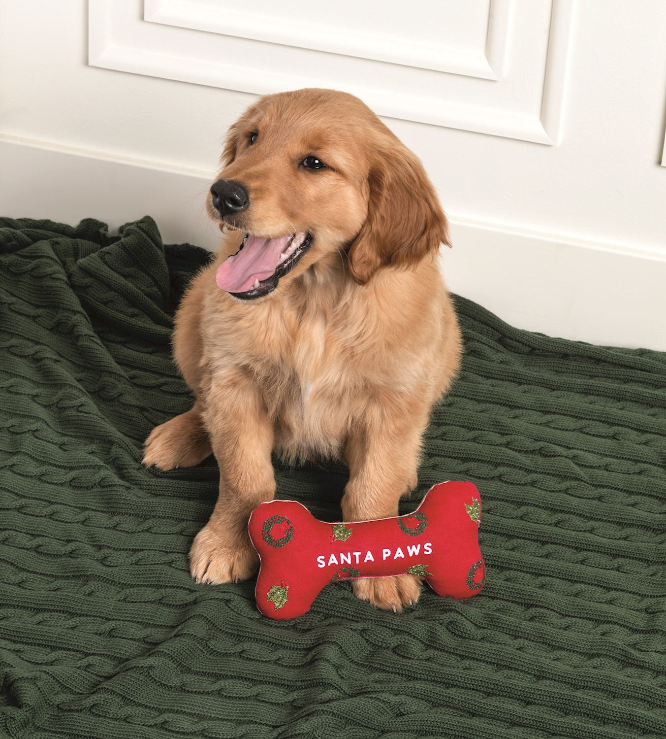 Mudpie - Dog Bone Toys - Assorted - Findlay Rowe Designs