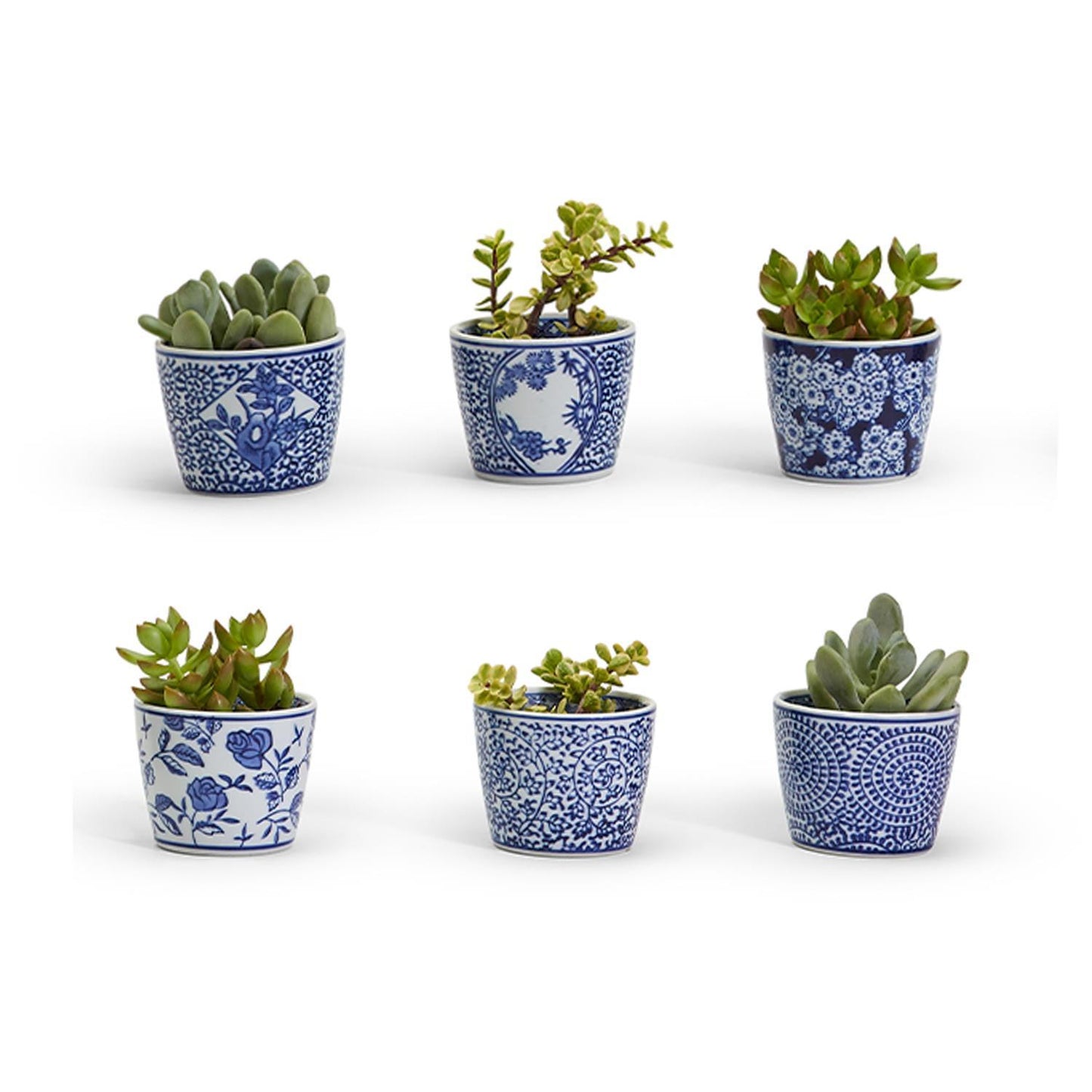 Cachepot - Mini Blue and White