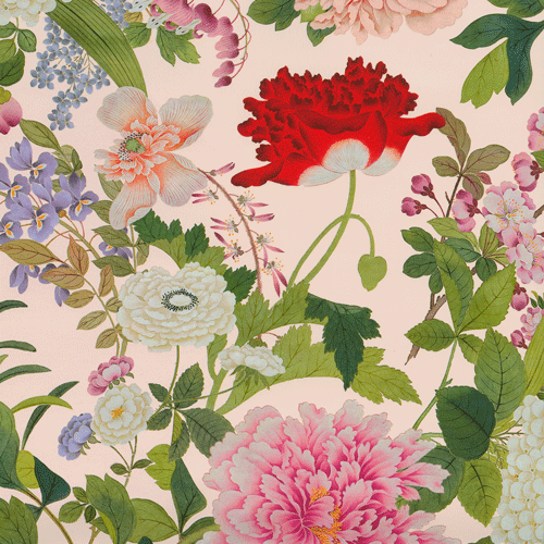 Caspari -  Gift Wrap Roll -  A Profusion Of Flowers - Shell Pink - Findlay Rowe Designs