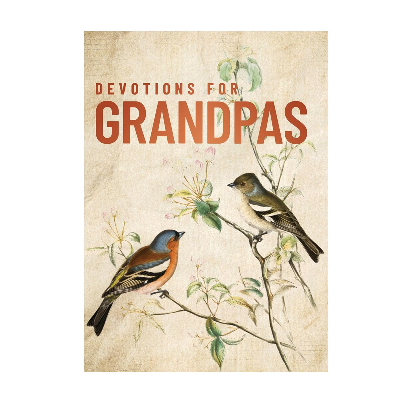 Devotions for Grandpas: A 40-Day Bible Devotional - Findlay Rowe Designs