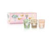 Baobab - Travel Candle Trio - Singapore Athens Paris - Findlay Rowe Designs