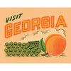 True South Puzzle - Visit Georgia Mini Puzzle - 100 piece