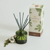 Frasier Fir - Petite Reed Diffuser - Green