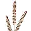 Allstate Floral - 34.5" Glittered Rhinestone Mini Leaf Spray - Red - Findlay Rowe Designs