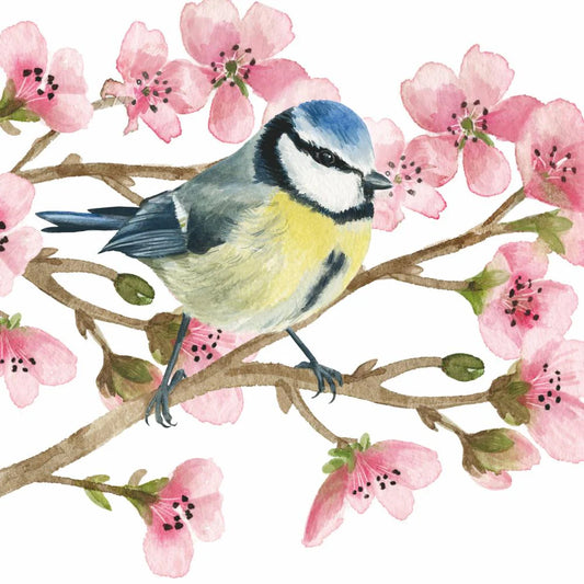 Cocktail Napkin - Oiseau Printemps